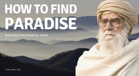 Embedded thumbnail for How to Find Paradise