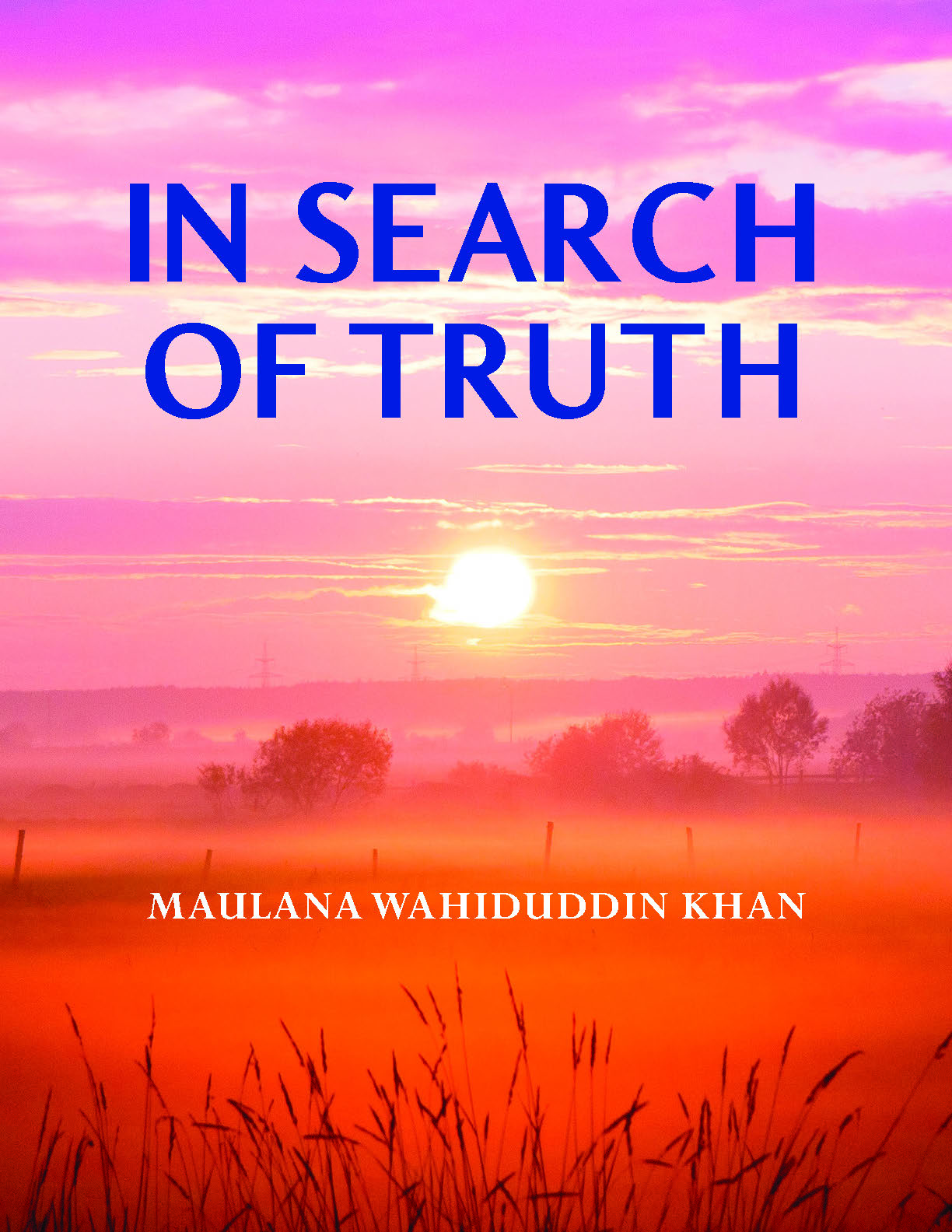 IN SEARCH OF TRUTH Pocket-COVER PAGE