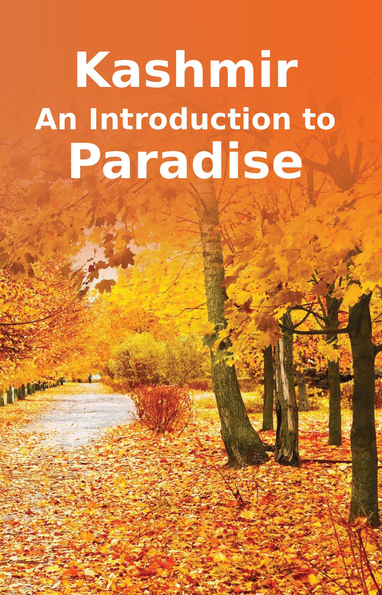 Kashmir: An Introduction to Paradise