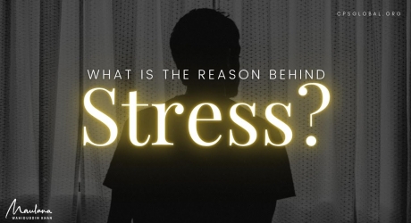 Embedded thumbnail for What is the Reason behind Stress?