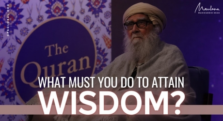 Embedded thumbnail for What Must You Do to Attain Wisdom?