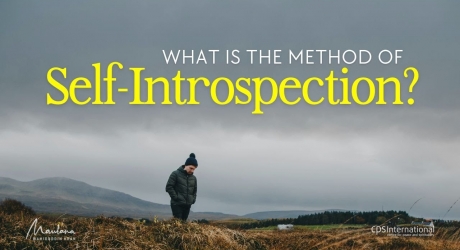 Embedded thumbnail for What is the Method of Self-Introspection?