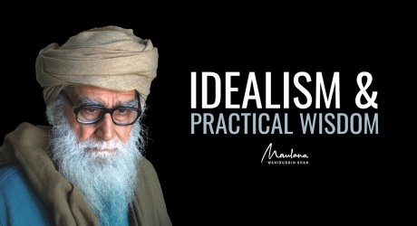 Embedded thumbnail for Idealism and Practical Wisdom