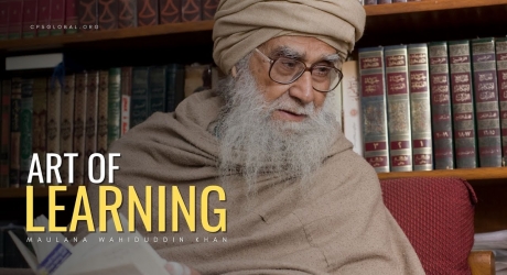 Embedded thumbnail for Art of Learning